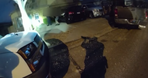 Family of the ‘wrong man’ shot and killed by police files federal suit